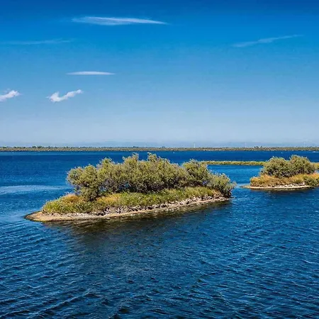 In 25008 Rosolina Mare